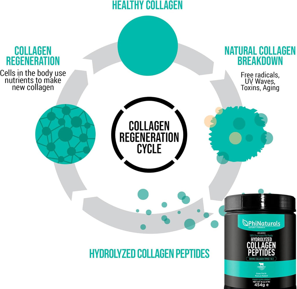 PhiNaturals Hydrolyzed Collagen Peptides Powder — Unflavored | Grass-Fed | Types 1 & 3